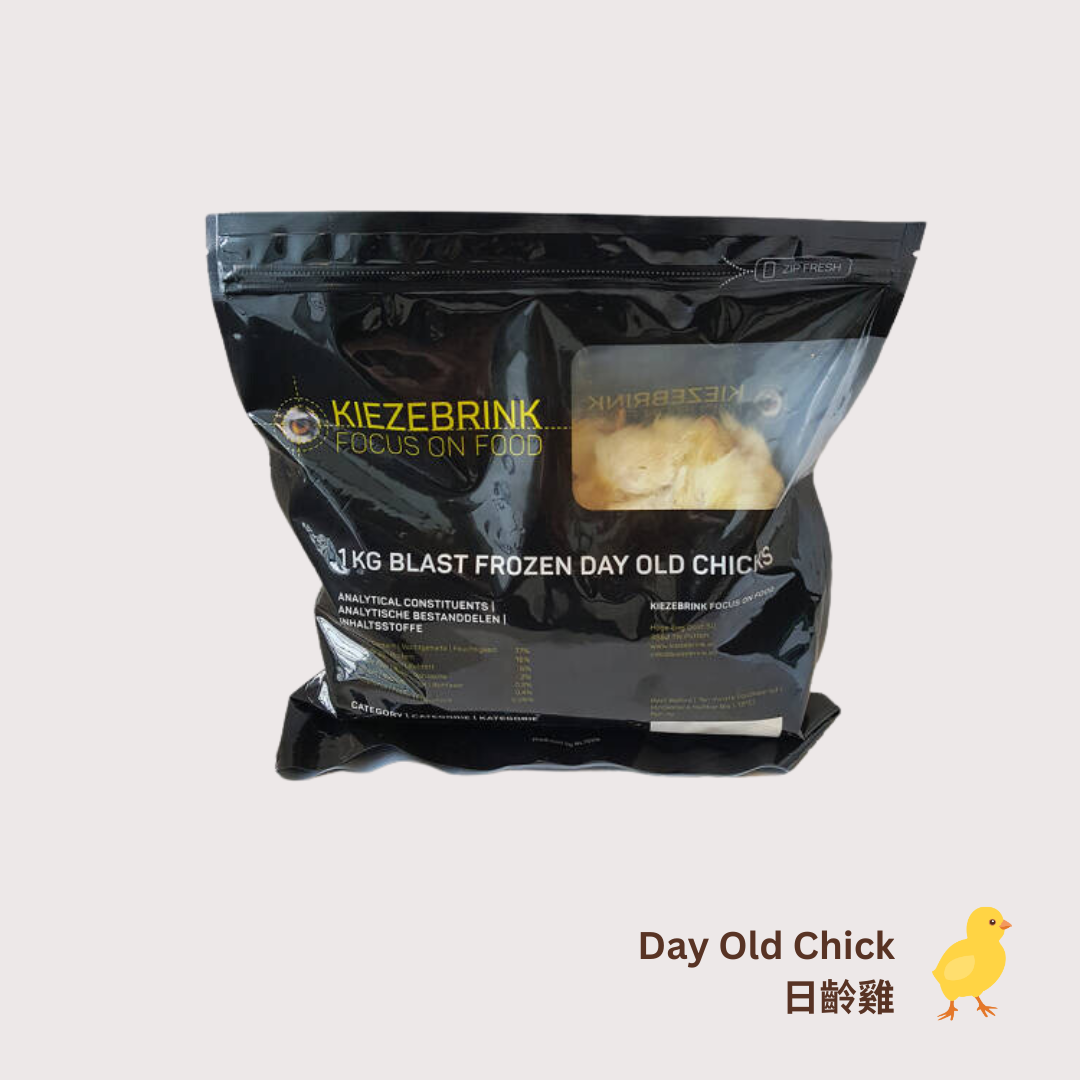 KB Organic Day Old Chick 有機日齡雞 1kg