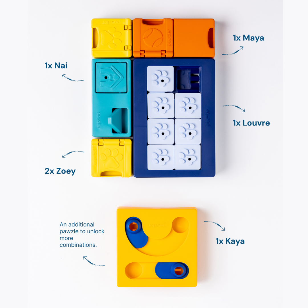 Pawzler MINI Smarty Set|Level 3