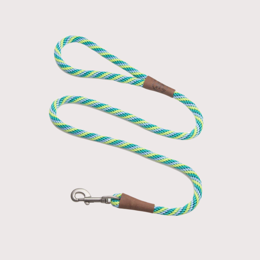 Mendota Snap Leash 1/2’’ x 4’|Seafoam
