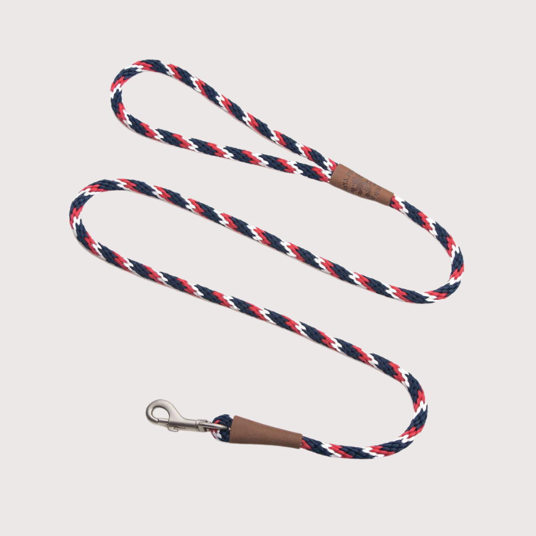 Mendota Small Snap Leash 3/8’’ x 4’|Pride