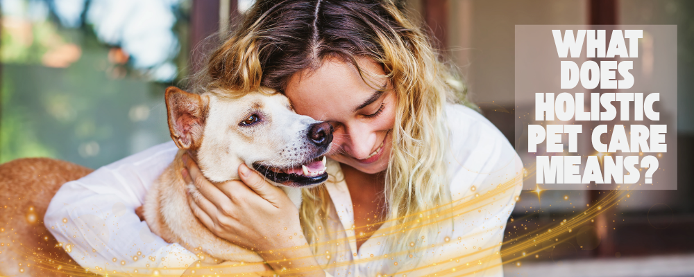 What Does “Holistic Pet Care” Really Mean? (And Why It Changes Everything)