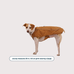 【冬衣團購】Ruffwear Overcoat Fuse™ Insulated Vest 抓毛保暖衣｜BROWN BEAR