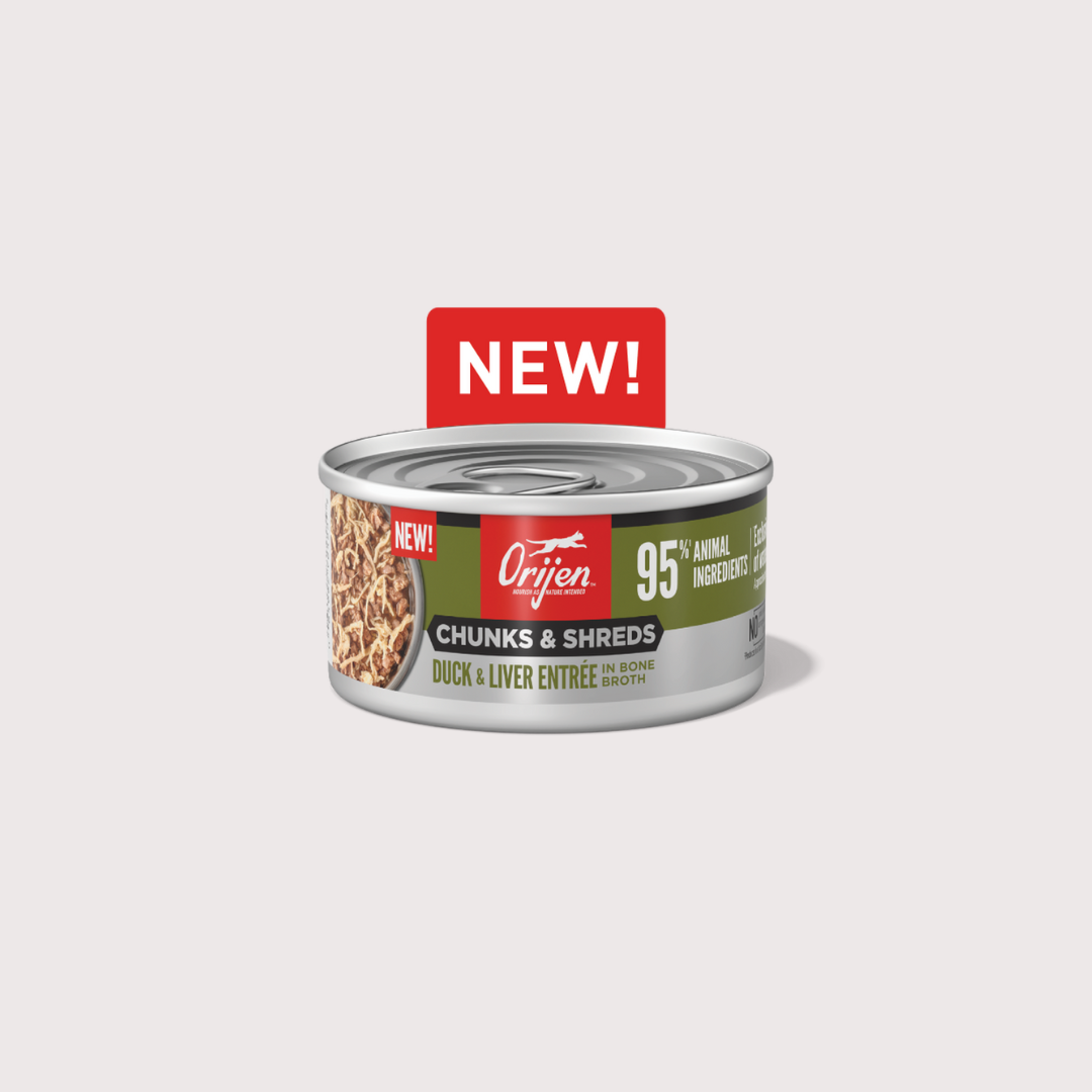Orijen 成貓主食罐｜奢華鮮肉 - 鴨肉雞肝 (85g, 155g)