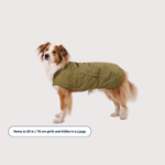 【冬衣團購】Ruffwear Overcoat Fuse™ Insulated Vest 抓毛保暖衣｜CEDAR GREEN
