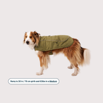 【冬衣團購】Ruffwear Overcoat Fuse™ Insulated Vest 抓毛保暖衣｜CEDAR GREEN