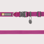 [預購] Ruffwear Hi & Light™ Lightweight Collar 輕型頸圈｜ALPENGLOW PINK 朝霞粉