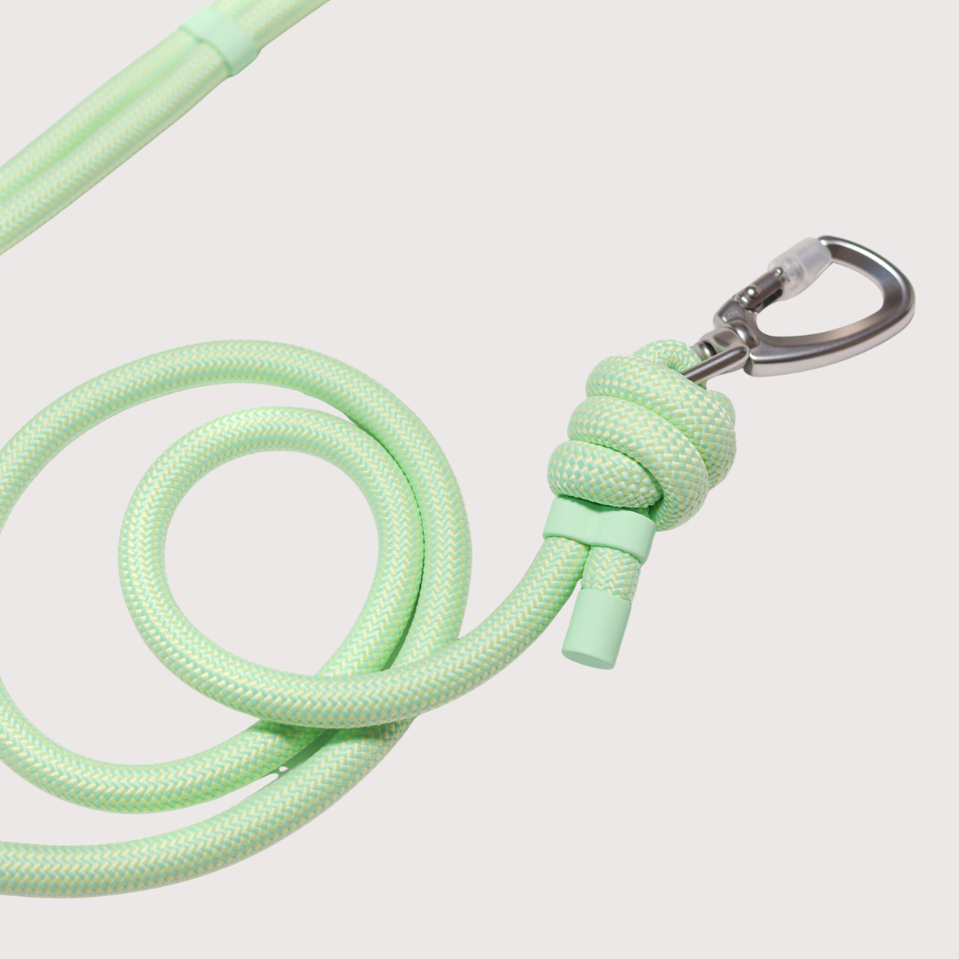[Pre-order] PUPS & BUBS Rover Rope Leash