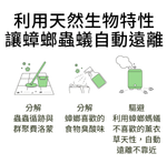水魔素 薰衣草除臭濃縮液【防蟑蚊驅臭蟲X狗貓尿臭味X安神舒眠】