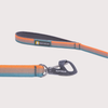 [預購] Ruffwear Front Range™ Leash 牽引繩｜SPRING FADE 春日淡影