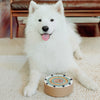 Lambwolf Bento 3-in-1 3合1 便當