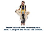 Ruffwear BackTrak™ Dog Evacuation Kit 緊急逃生裝備｜CLOUDBURST GRAY 暴雨灰