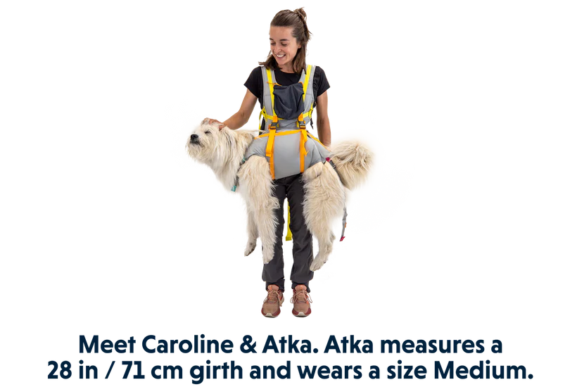 Ruffwear BackTrak™ Dog Evacuation Kit 緊急逃生裝備｜CLOUDBURST GRAY 暴雨灰