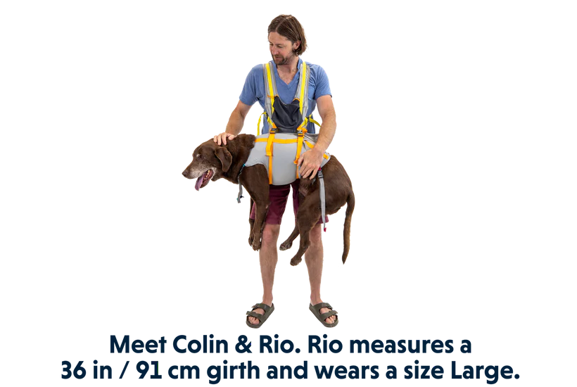 Ruffwear BackTrak™ Dog Evacuation Kit 緊急逃生裝備|CLOUDBURST GRAY 暴雨灰