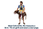Ruffwear BackTrak™ Dog Evacuation Kit 緊急逃生裝備｜CLOUDBURST GRAY 暴雨灰