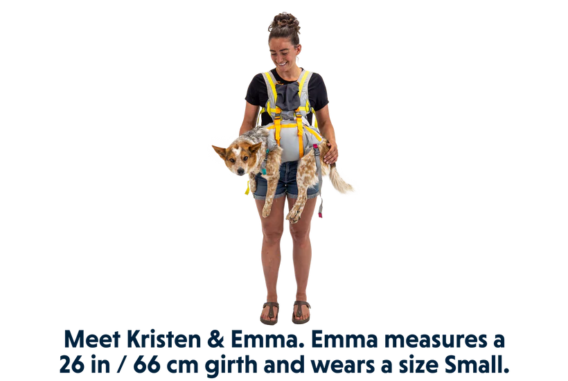 Ruffwear BackTrak™ Dog Evacuation Kit 緊急逃生裝備｜CLOUDBURST GRAY 暴雨灰
