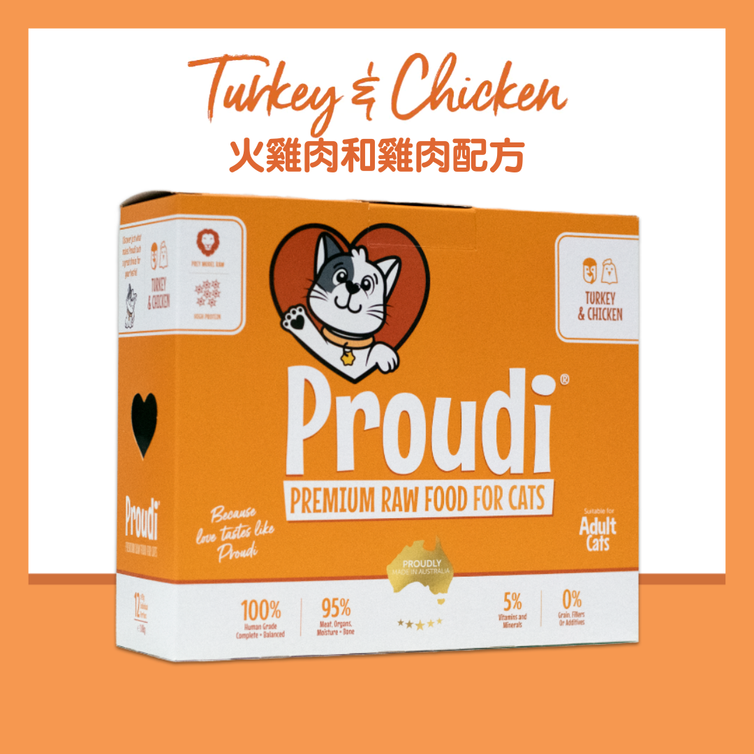 PROUDI 急凍生肉貓糧｜火雞肉和雞肉配方 (90g x 12)