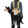 Ruffwear BackTrak™ Dog Evacuation Kit 緊急逃生裝備｜CLOUDBURST GRAY 暴雨灰