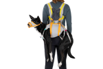 Ruffwear BackTrak™ Dog Evacuation Kit 緊急逃生裝備｜CLOUDBURST GRAY 暴雨灰