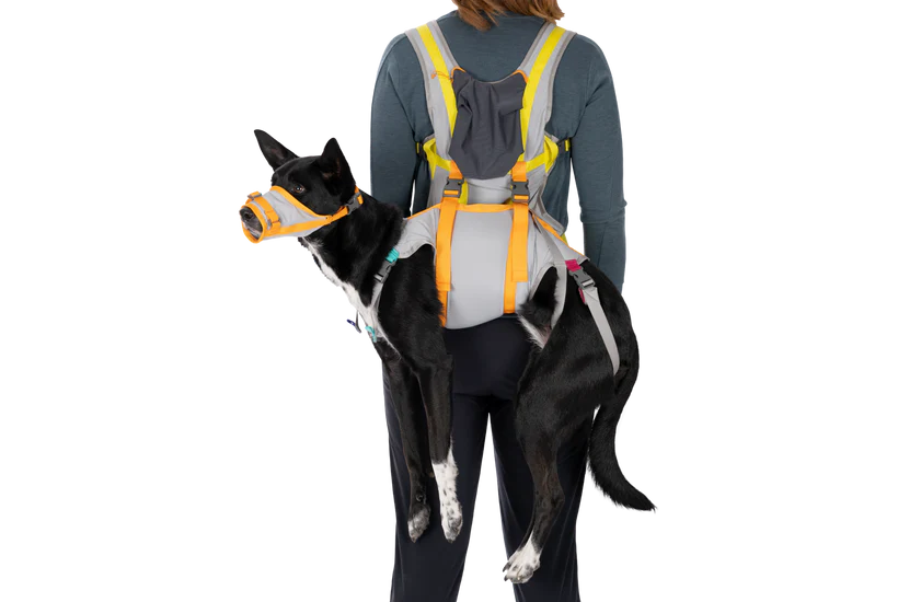 Ruffwear BackTrak™ Dog Evacuation Kit 緊急逃生裝備｜CLOUDBURST GRAY 暴雨灰