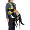 Ruffwear BackTrak™ Dog Evacuation Kit 緊急逃生裝備｜CLOUDBURST GRAY 暴雨灰