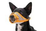 Ruffwear BackTrak™ Dog Evacuation Kit 緊急逃生裝備｜CLOUDBURST GRAY 暴雨灰