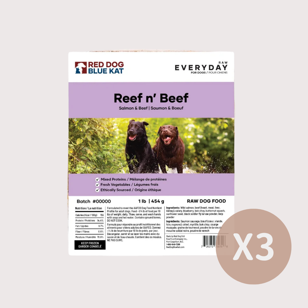 RDBK EVERYDAY 急凍生肉狗糧｜Reef n’ Beef 牛/三文魚