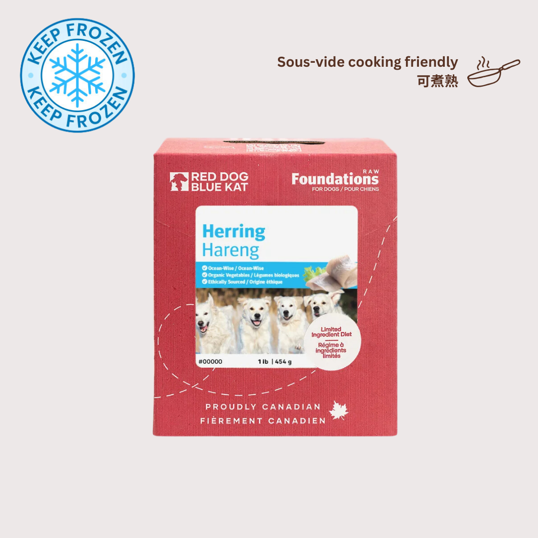 RDBK FOUNDATIONS 急凍生肉狗糧｜Herring 鯡魚