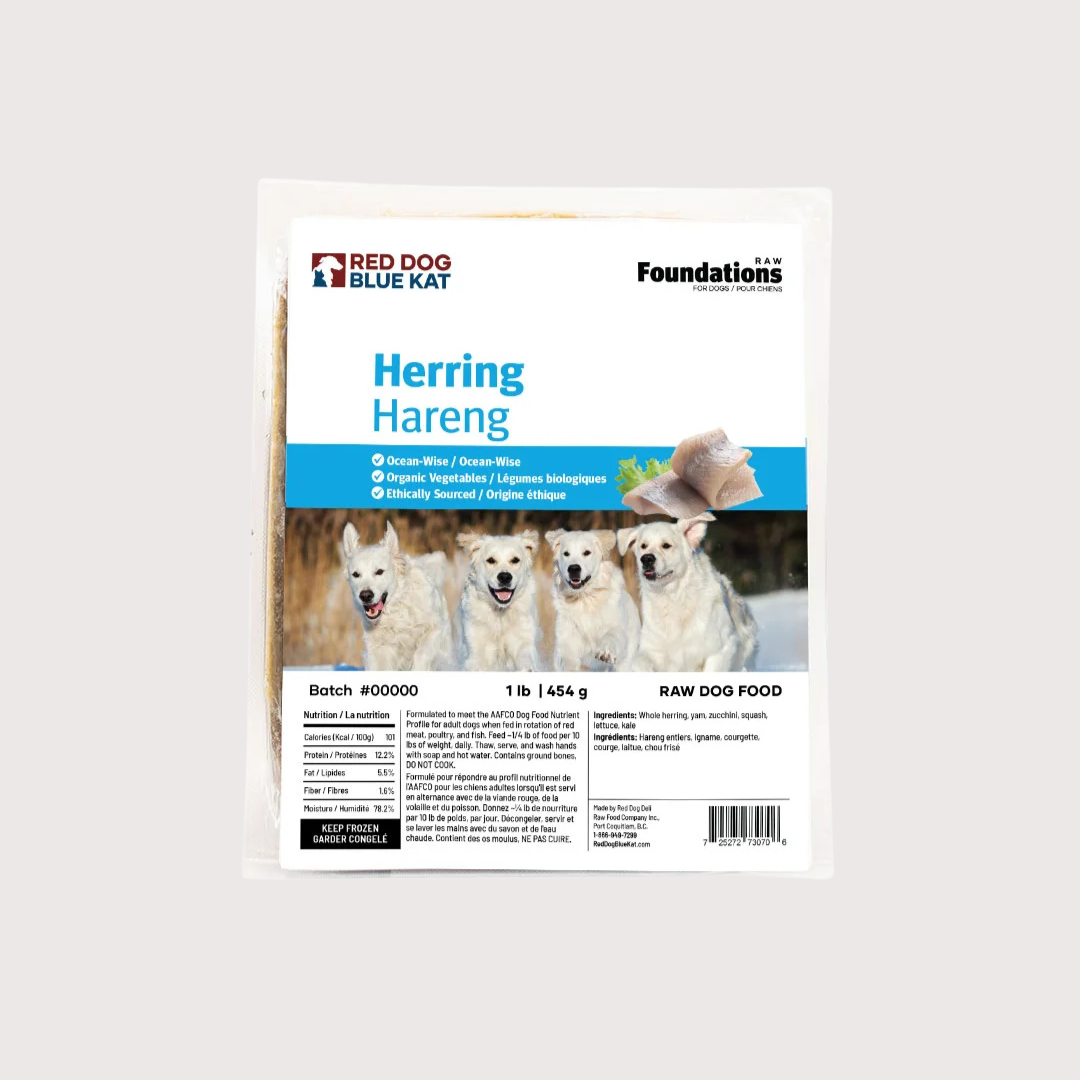 RDBK FOUNDATIONS 急凍生肉狗糧|Herring 鯡魚