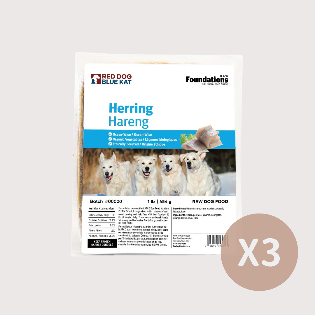 RDBK FOUNDATIONS 急凍生肉狗糧｜Herring 鯡魚