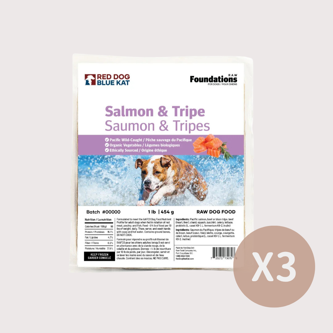RDBK FOUNDATIONS 急凍生肉狗糧|Salmon & Tripe 三文魚 & 草胃