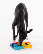 Pawzler MINI Genius Set｜Level 3