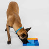 Pawzler MINI Beginner Set｜Level 1