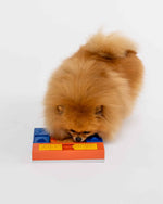 Pawzler MINI Beginner Set｜Level 1