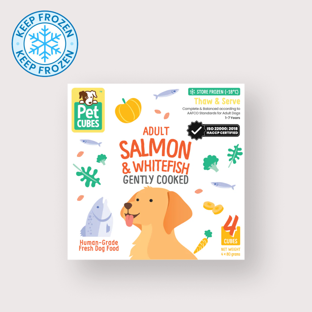 PetCubes 急凍輕煮鮮食成狗糧 - Salmon & Whitefish｜Paws Up 一切從狗狗健康角度出發 – Paws Up｜肉球辦館