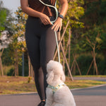 [Pre-order] PUPS & BUBS Rover Rope Leash
