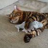 Lambwolf Kitty Trout 貓咪魚魚