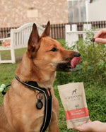 The Innocent Hound 驅蟲抗蝨保健狗小食｜牛肉配印楝葉同檸檬香脂草