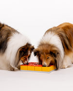 Pawzler Treat Maze｜Level 3