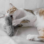 Lambwolf Kitty Breuer 貓咪硝波塊