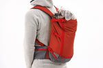 Ruffwear Hitch Hiker™ Dog Backpack Carrier 孭狗狗背囊｜RED CLAY 火山紅