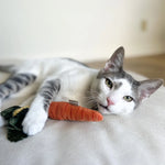 Lambwolf Kitty Baby Carrot 蘿蔔仔