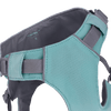 Ruffwear Cooling Harness 冰涼胸背帶｜SAGE GREEN 灰綠色