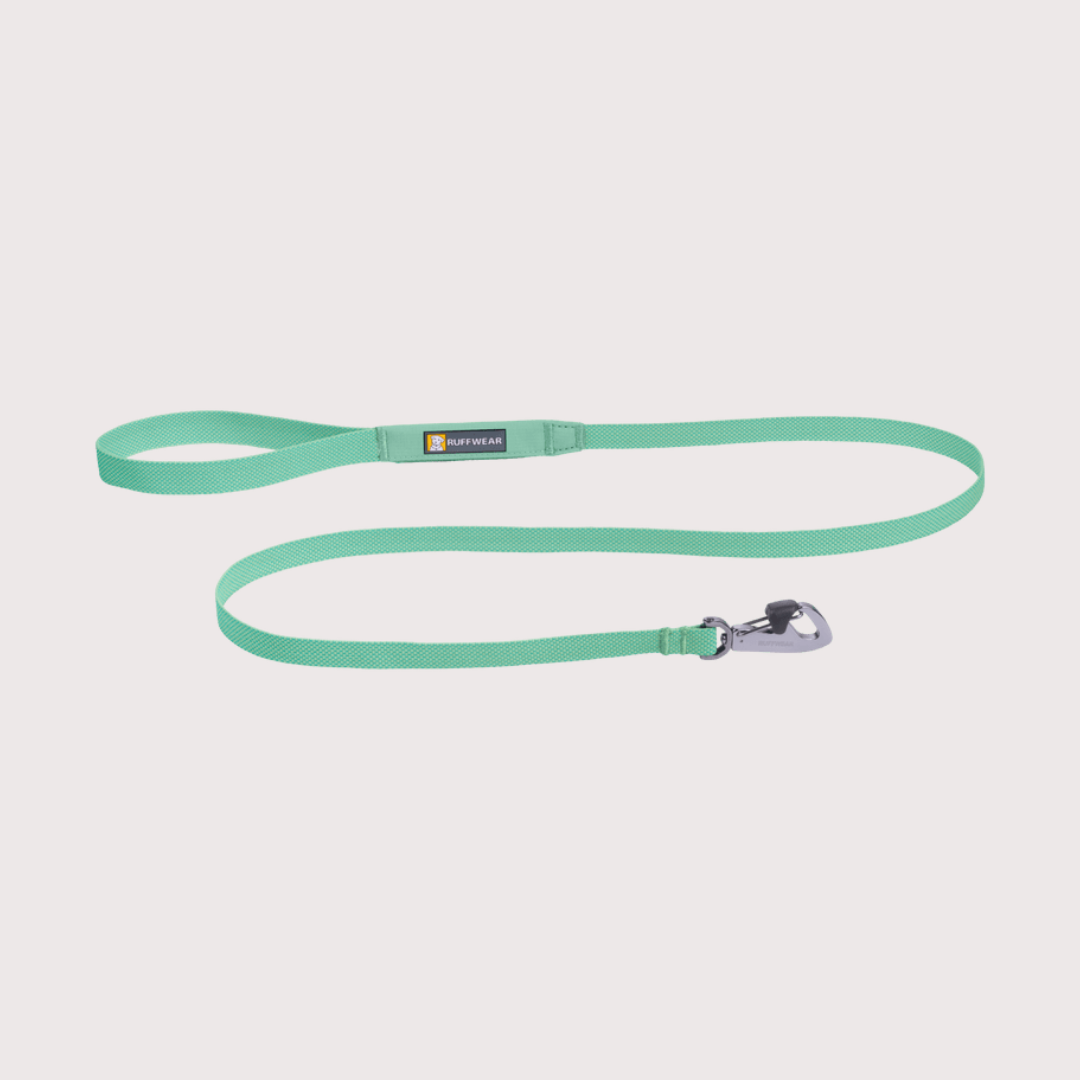 Ruffwear Hi & Light™ Lightweight Dog Leash 輕型牽引繩|SAGE GREEN 霧森綠