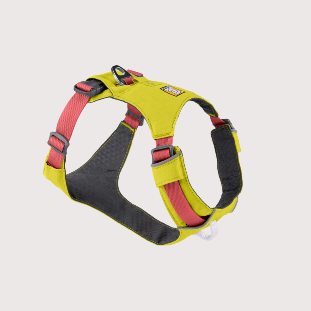 Ruffwear Hi & Light™ Lightweight Harness 輕型胸背帶|LICHEN GREEN 苔鮮綠